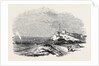 Wreck of the Waterman Steamer, Off Hastings by Anonymous