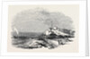 Wreck of the Waterman Steamer, Off Hastings by Anonymous