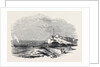 Wreck of the Waterman Steamer, Off Hastings by Anonymous