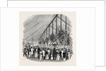 Principal Tent, Royal Botanic Society's Fete by Anonymous