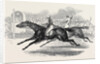 Mr. Day's the Ugly Buck, and Lord George Bentinck's the Devil to Pay, Race for 200 Guineas, at Newmarket by Anonymous