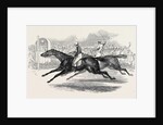 Mr. Day's the Ugly Buck, and Lord George Bentinck's the Devil to Pay, Race for 200 Guineas, at Newmarket by Anonymous