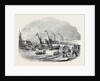 Wreck of the Severn Steamer, Newport-Bridge. by Anonymous