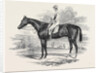 Portrait of Ratan by Anonymous