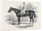 Portrait of Ratan by Anonymous