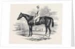 Portrait of Ratan by Anonymous