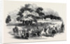 Gorhambury Races, from a Sketch in the Park by Anonymous