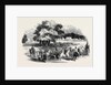 Gorhambury Races, from a Sketch in the Park by Anonymous