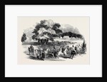 Gorhambury Races, from a Sketch in the Park by Anonymous