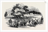Gorhambury Races, from a Sketch in the Park by Anonymous