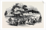 Gorhambury Races, from a Sketch in the Park by Anonymous
