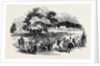 Gorhambury Races, from a Sketch in the Park by Anonymous