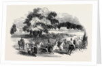 Gorhambury Races, from a Sketch in the Park by Anonymous