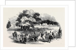 Gorhambury Races, from a Sketch in the Park by Anonymous