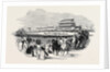 Epsom Races by Anonymous