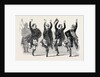 Highland Dancers and Pipers by Anonymous