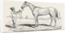 The Princess, Winner of the Oaks. by Anonymous