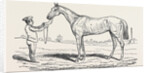 The Princess, Winner of the Oaks. by Anonymous