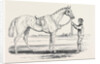 Alice Hawthorn, the Winner of the Gold Vase, at Ascot Races by Anonymous