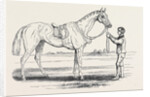 Alice Hawthorn, the Winner of the Gold Vase, at Ascot Races by Anonymous