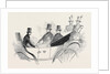 The Emperor of Russia, the King of Saxony, and Prince Albert, at Ascot Races by Anonymous