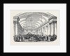 The Royal Devon and Cornwall Botanical and Horticultural Society's Show, Assembly Room, Plymouth. by Anonymous