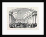 The Royal Devon and Cornwall Botanical and Horticultural Society's Show, Assembly Room, Plymouth. by Anonymous