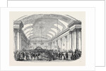The Royal Devon and Cornwall Botanical and Horticultural Society's Show, Assembly Room, Plymouth. by Anonymous