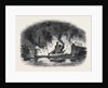 The Great Fire at Gravesend by Anonymous