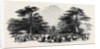 The Grand Cedar Avenue, the Emperor's Sylvan Court by Anonymous