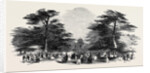 The Grand Cedar Avenue, the Emperor's Sylvan Court by Anonymous