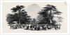 The Grand Cedar Avenue, the Emperor's Sylvan Court by Anonymous