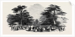 The Grand Cedar Avenue, the Emperor's Sylvan Court by Anonymous