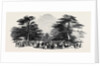 The Grand Cedar Avenue, the Emperor's Sylvan Court by Anonymous