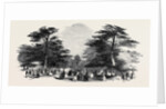 The Grand Cedar Avenue, the Emperor's Sylvan Court by Anonymous