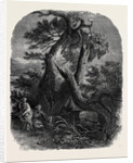 Specimen of Wood Engraving, the Death of the Children of Niobe by Anonymous