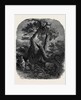 Specimen of Wood Engraving, the Death of the Children of Niobe by Anonymous
