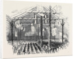 Lord Egerton's Fete, the Pavilion at Worsley by Anonymous