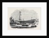 Launch of the Waterwitch, at Cowes by Anonymous