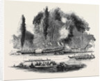 The Thames Regatta. by Anonymous