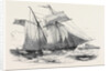 Fruit Schooner. by Anonymous