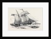Fruit Schooner. by Anonymous