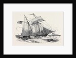 Fruit Schooner. by Anonymous