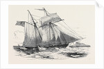 Fruit Schooner. by Anonymous