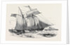 Fruit Schooner. by Anonymous