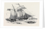 Fruit Schooner. by Anonymous