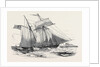 Fruit Schooner. by Anonymous