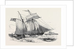 Fruit Schooner. by Anonymous