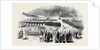 Folkestone: Arrival of the Indian Mail, Express Omnibus Proceeding to Receive It by Anonymous