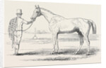 Colonel Peel's Orlando, the Winner of the Derby. by Anonymous